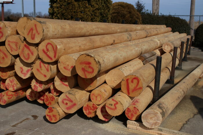 Wood Logs