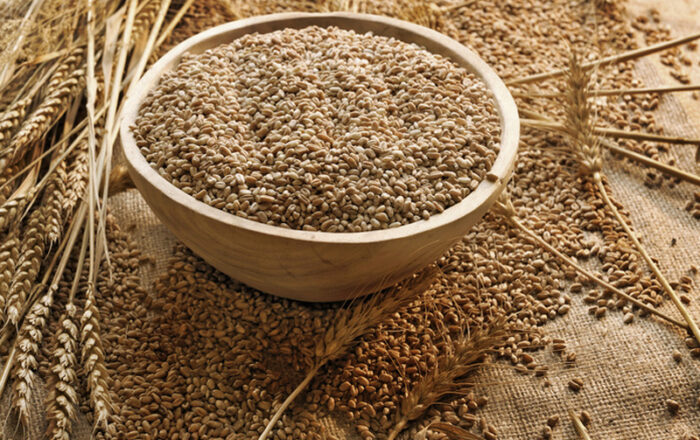 Wheat Bran