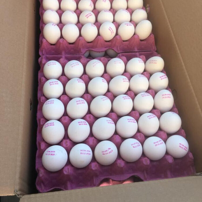 Table Eggs
