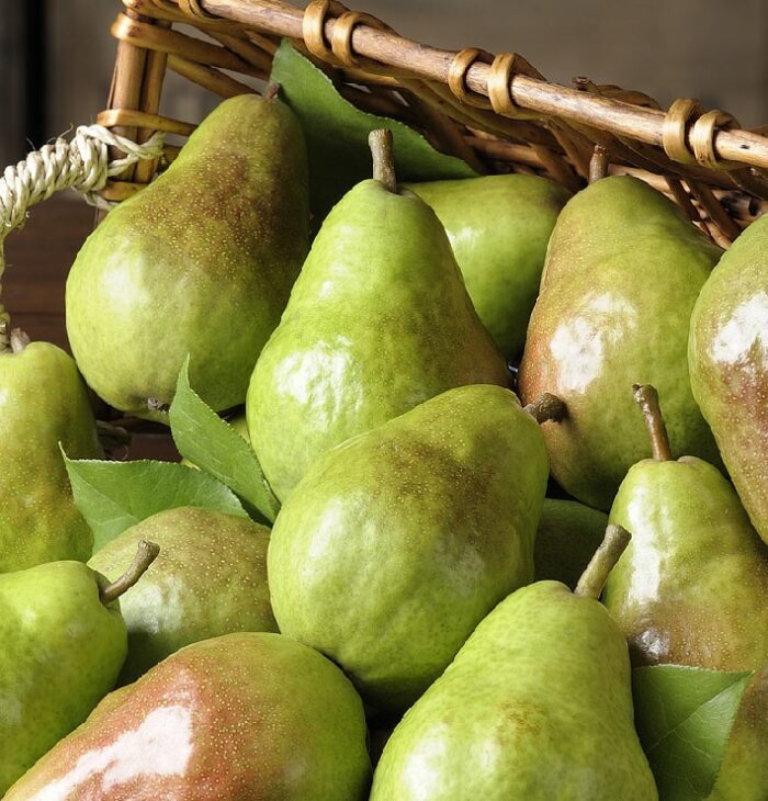 Fresh Pears