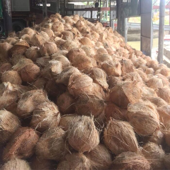 Coconut