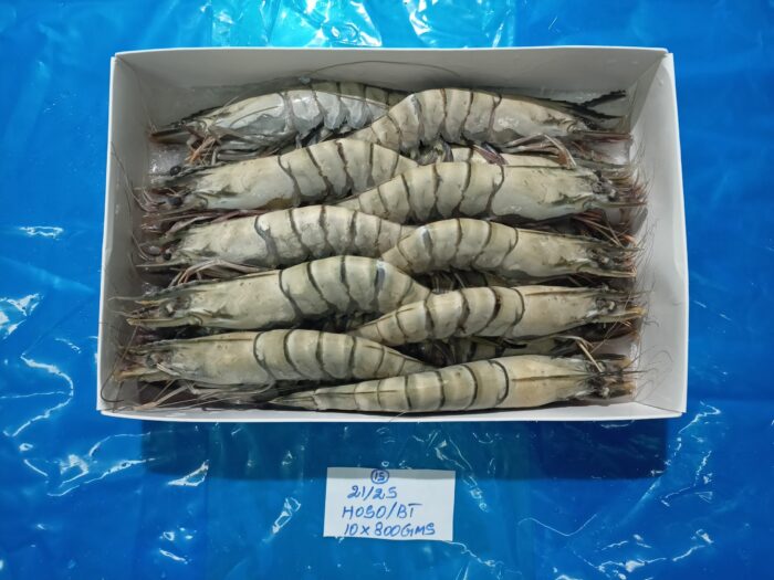 Frozen Shrimps