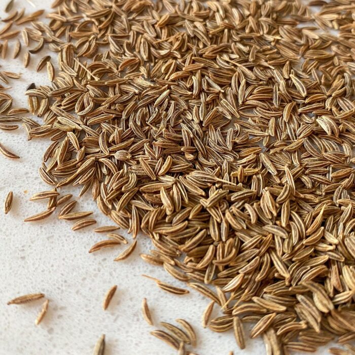 Caraway Seed