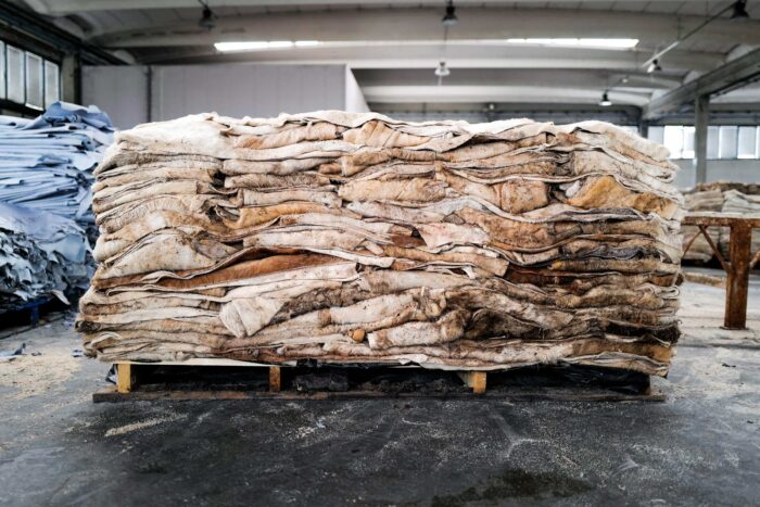 Salted cow skin