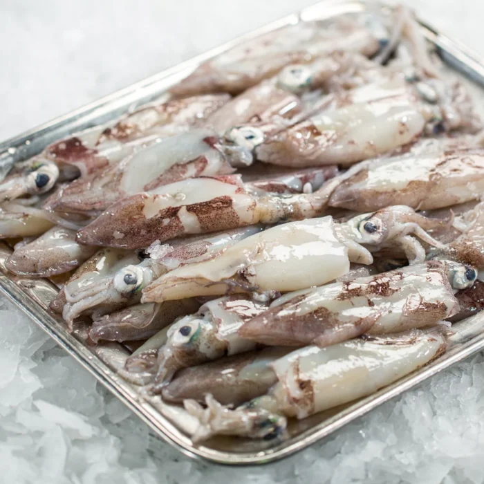 Fresh Squids